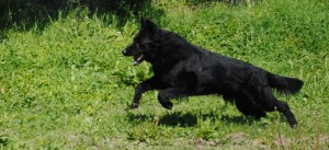 June 2011