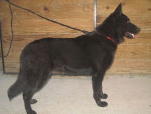 June 2011